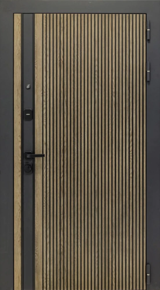 Входная дверь ДвериПРО Росна ФЛ-256 (10мм, Бетон пепельный) DPRO222079 внешняя сторона